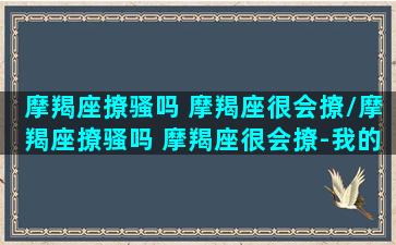 摩羯座撩骚吗 摩羯座很会撩/摩羯座撩骚吗 摩羯座很会撩-我的网站